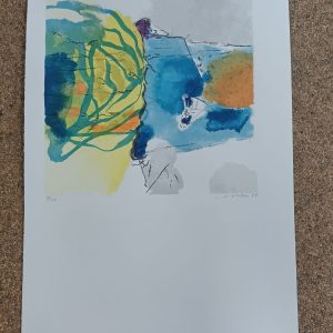 grafiek Henk van Vessem - Dutch Landscape I 38 x 56 cm