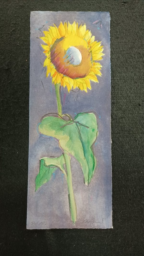 grafiek Thomas Aeffner - Sunflower 14.5 x 38 cm - Afbeelding 2