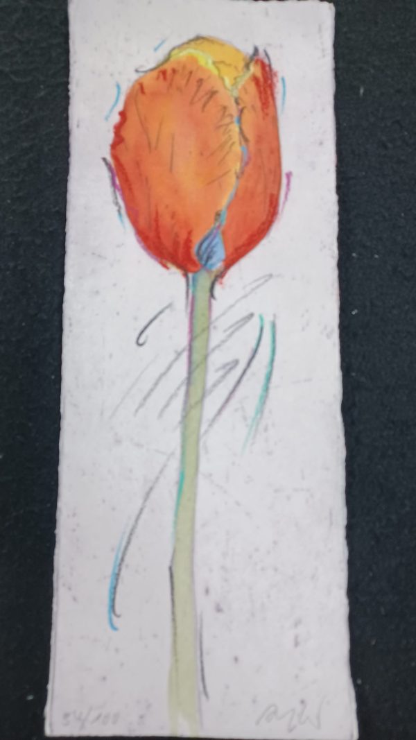 grafiek Thomas Aeffner - Red tullip 14.5 x 38 cm - Afbeelding 3