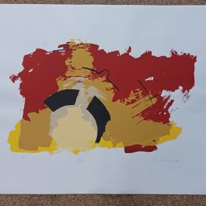 grafiek Inge Suijkerbuijk - Plan II 100 x 70 cm