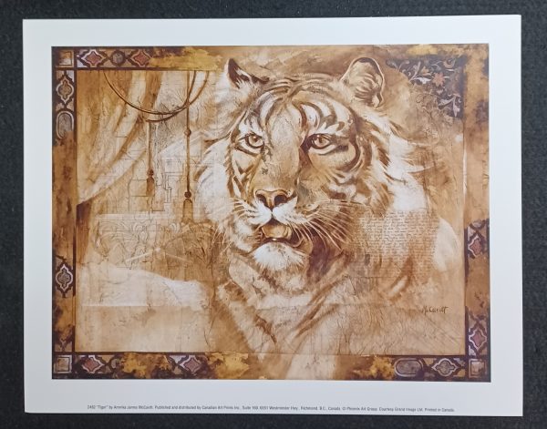 poster Annrika James McCavitt - Tiger 30 x 24 cm