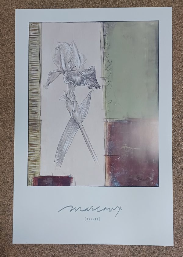 poster Editions Limited: Julian Marcoux - Iris II 61 x 94.6 cm - Afbeelding 2