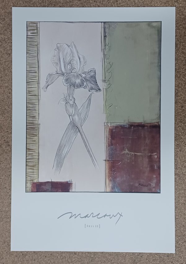 poster Editions Limited: Julian Marcoux - Iris II 61 x 94.6 cm - Afbeelding 3