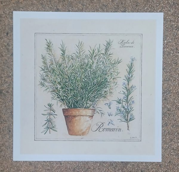poster Universal Prints: Laurence David - Herbes de Provence, Roamrin 33 x 33 cm - Afbeelding 2