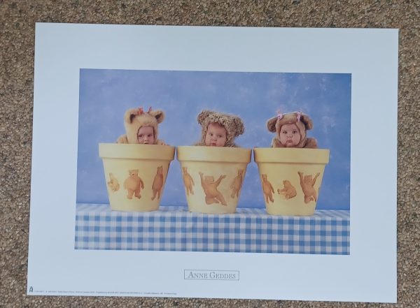 poster Universal Prints:  Anne Geddes - Teddy Bear's Picnic 40 x 30 cm - Afbeelding 2