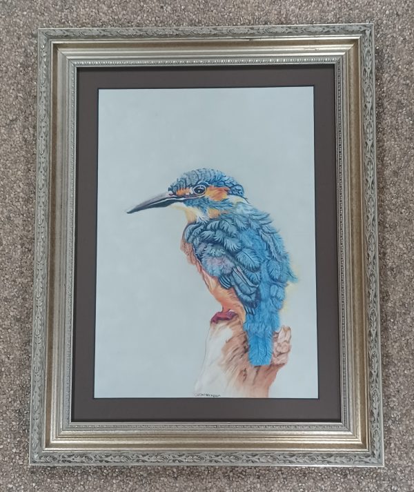 Tekening Claudia van Antwerpen - ijsvogel  29 x 38.5 glasmaat - Afbeelding 2