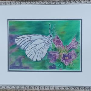 tekening Claudia van Antwerpen - Vlinder wit/paars 36.5 x 29 cm glasmaat