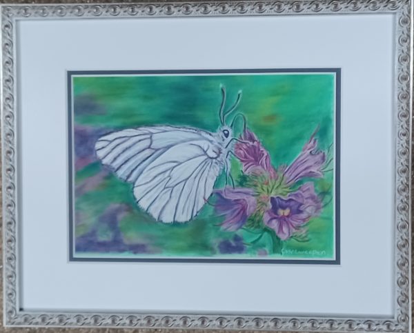 tekening Claudia van Antwerpen - Vlinder wit/paars 36.5 x 29 cm glasmaat