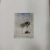 grafiek Alessandro Nocentini - Bicchierino - Afbeelding 5