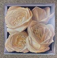 poster Art in Motion Jay Mercado - Boxed Yellow Roses II 37 x 37 cm