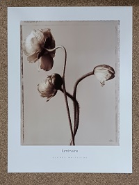 puzzel Art in Motion George Whiteside - Luminaire 60 x 80 cm