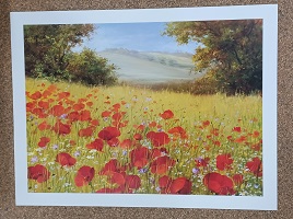 poster PGM Heinz Schölnhamner - Sparkling Field II 80 x 60 cm