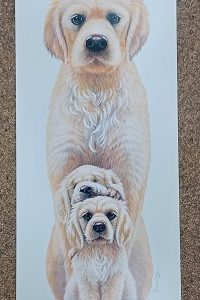 poster Image’s Warwick Higgs – Good as Gold 30 x 70 cm