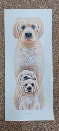 poster Image’s Warwick Higgs – Good as Gold 30 x 70 cm