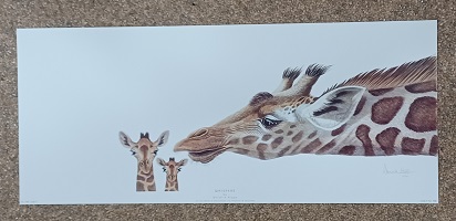 poster Image’s Warwick Higgs – Whispers 59 x 25 cm