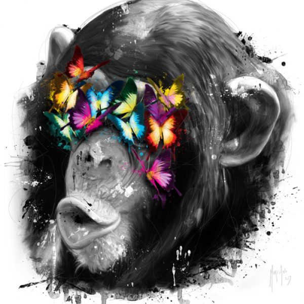 poster International Graphics: Patrice Murciano - Don't see 40 x 40 cm
