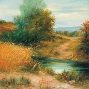 poster Heinz Schölnhammer - sommer 25 x 32 cm vier jaargetijden