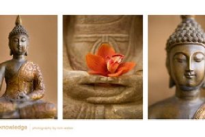 poster PGM Tom Weber - Spiritual Knowledge 100 x 50 cm