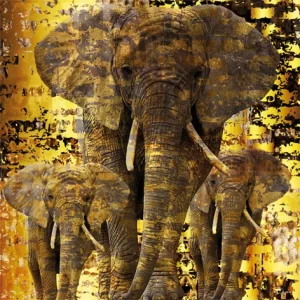 poster Mondiart Bas - Elephants alluminium art 100 x 100 cm