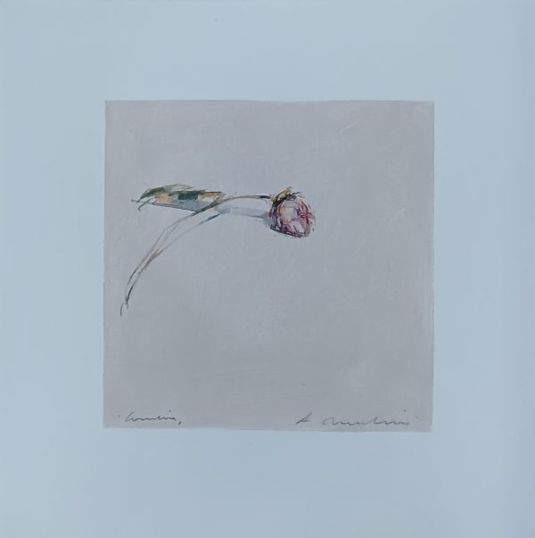 grafiek Alessandro Nocentini - bloem rechts 43 x 43 cm