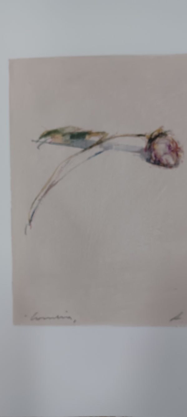 grafiek Alessandro Nocentini - bloem rechts 43 x 43 cm - Afbeelding 2