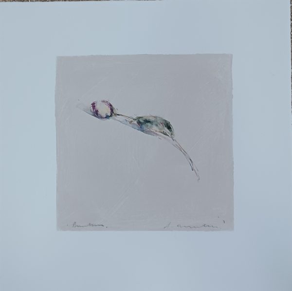 grafiek Alessandro Nocentini - bloem links 43 x 43 cm