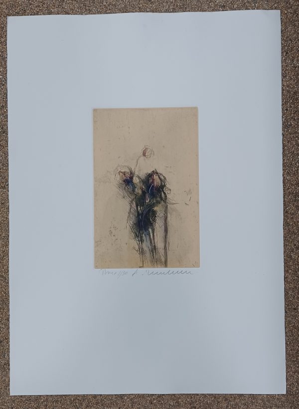 grafiek Alessandro Nocentini - Roseleine - Afbeelding 2
