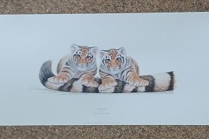 poster Image’s Warwick Higgs – Stripes 59 x 25 cm