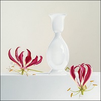 Art Revisited kaartenset Yt Osinga - Fragile - Afbeelding 5