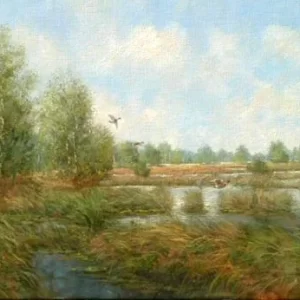 schilderij Henk Roosink - vennenlandschap 80 x 60 cm