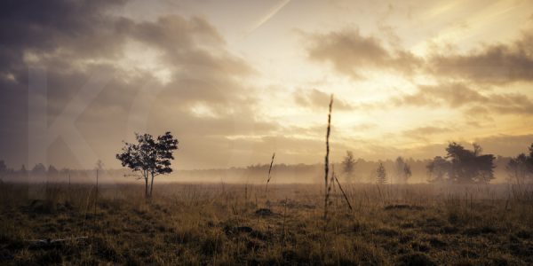 Fotografie Geert Jan Timmermans - Copper Sunrise 120 x 60 cm