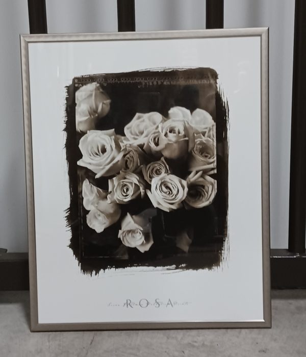 Poster Universal Prints: Susan Friedman - Rosa 40 x 50 cm