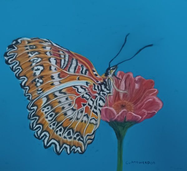Tekening Claudia van Antwerpen - vlinder 50.5 x 40.5 glasmaat - Afbeelding 3