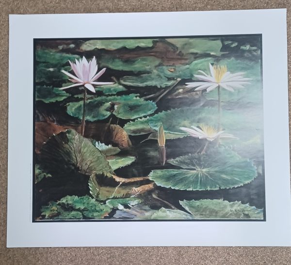 poster Louis Nagelkerke - lelies 67 x 55 cm