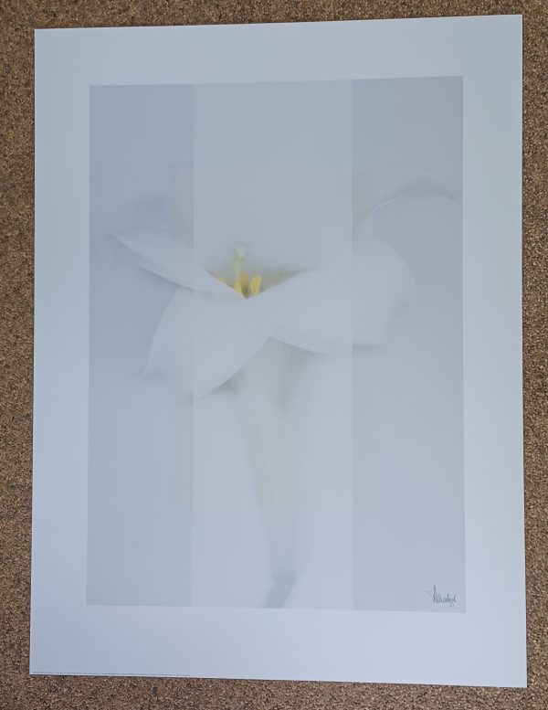 poster Verkerke: Thomas Weisenberger - Seasons III 60 x 80 cm