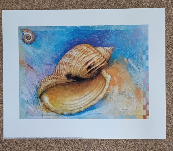poster Verkerke: Petar Meseldzija - Neptunes Amulet I 50 x 40 cm