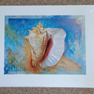 poster Verkerke:  Petar Meseldzija - Neptunes Amulet II 50 x 40 cm