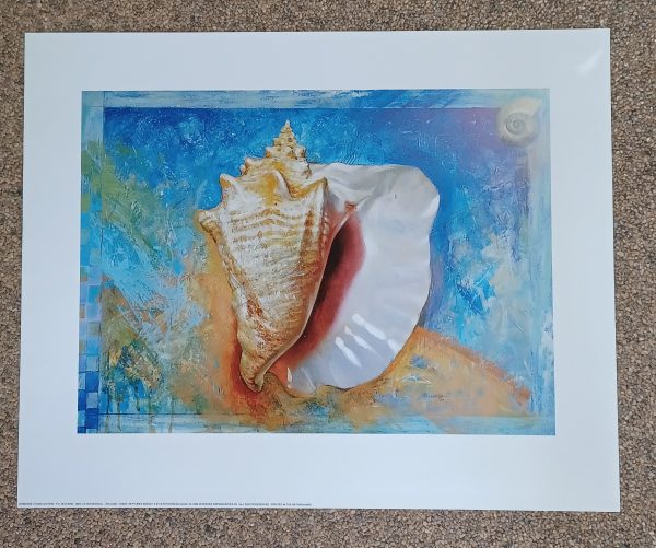 poster Verkerke:  Petar Meseldzija - Neptunes Amulet II 50 x 40 cm