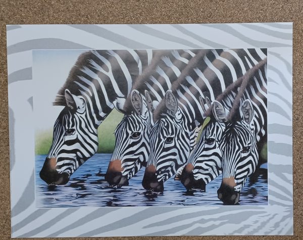 poster Verkerke: Loek Brugman - Drinking Zebras 80 x 60 cm