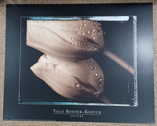 poster Eurographics Talli Rosner-Kozuch - Lovers 80 x 60 cm - Afbeelding 2