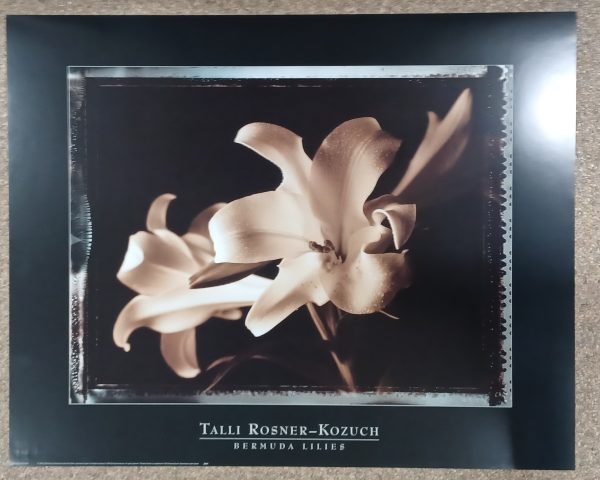 poster Eurographics Talli Rosner-Kozuch - Bermuda lilies 80 x 60 cm - Afbeelding 2