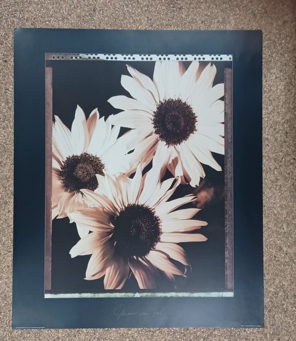 poster  Eurographics Gerard van Hal - Beautiful flowers IV  50 x 60 cm