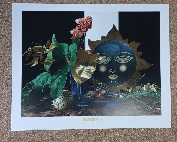 poster Verkerke:  Peter Thijs - Sun 50 x 40 cm