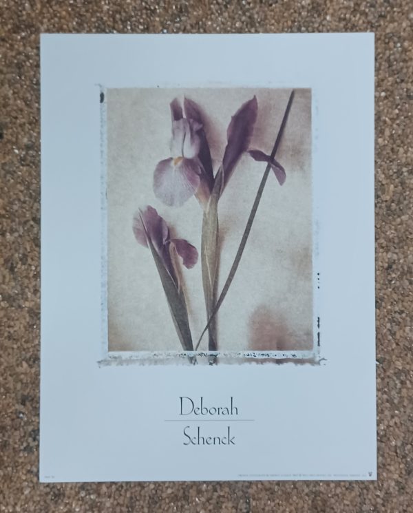 poster Wild Apple:  Deborah Schenck - Iris 22.9 x 30.5 cm