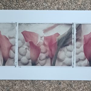 poster Wild Apple: Deborah Schenck - Calla Lily Tripych 35.6 x 12.7 cm