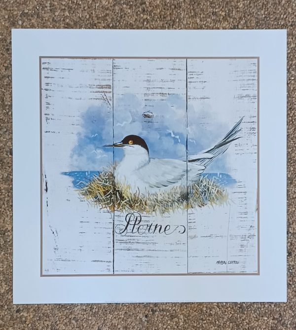 poster Universal Prints:  Pascal Cessou - Sterne 33 x 33 cm