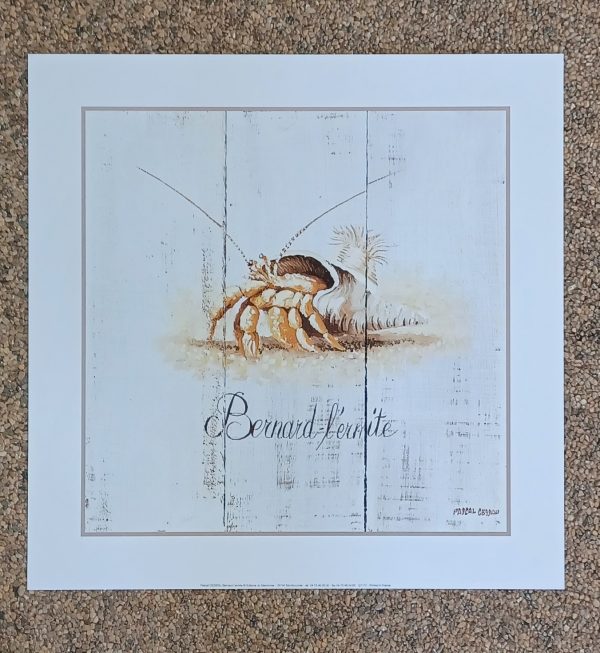 poster Universal Prints: Pascal Cessou - Bernard-L'Ermite 33 x 33 cm