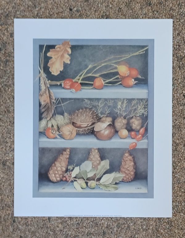 poster Universal Prints:  Laurence David - Les Trésors de la Campagne 24 x 30 cm