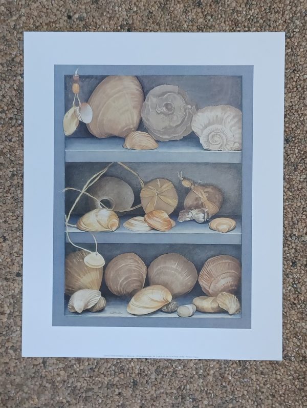 poster Universal Prints: Laurence David - Les Trécors de la Mer 24 x 30 cm
