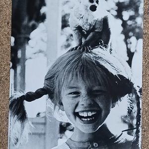 poster Universal Prints: Langstrumpf – Pippi lacht, Herr Nilson guckt 30 x 40 cm